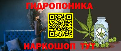 круглые Ставрополь