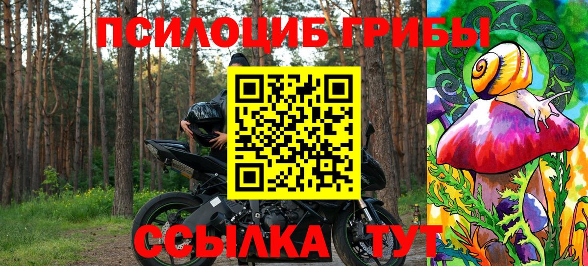 Псилоцибиновые грибы Psilocybe  Вход с VPN  Острогожск  Галлюциногенные грибы мухоморы 
