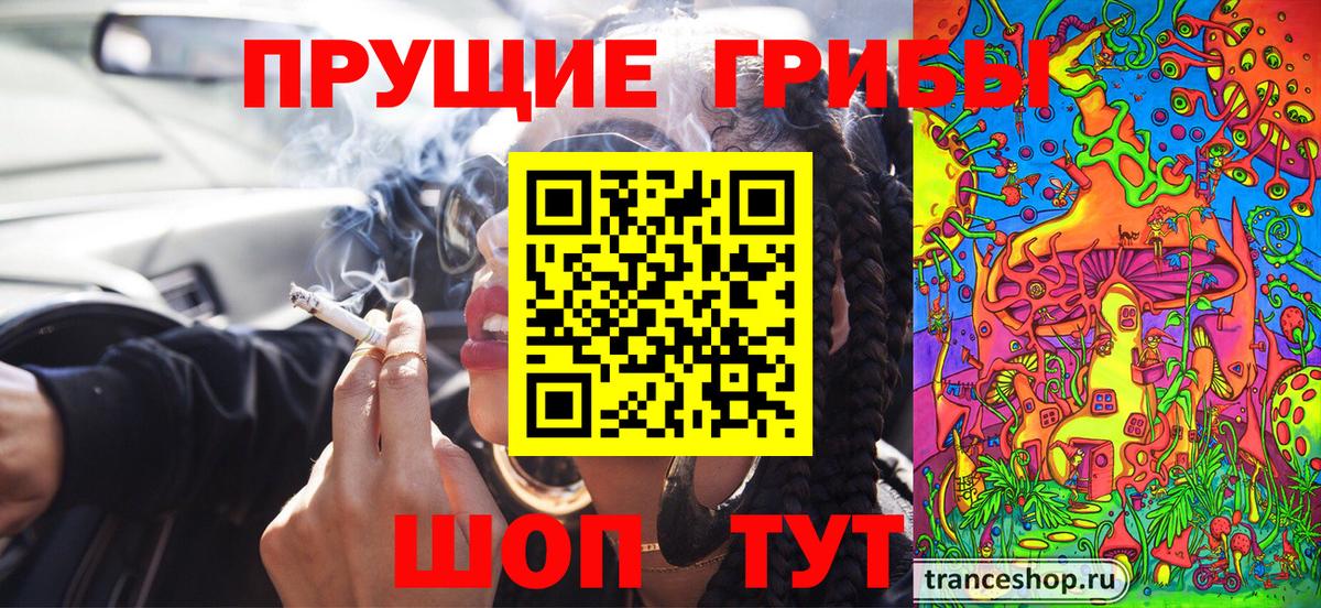 Галлюциногенные грибы GOLDEN TEACHER Острогожск